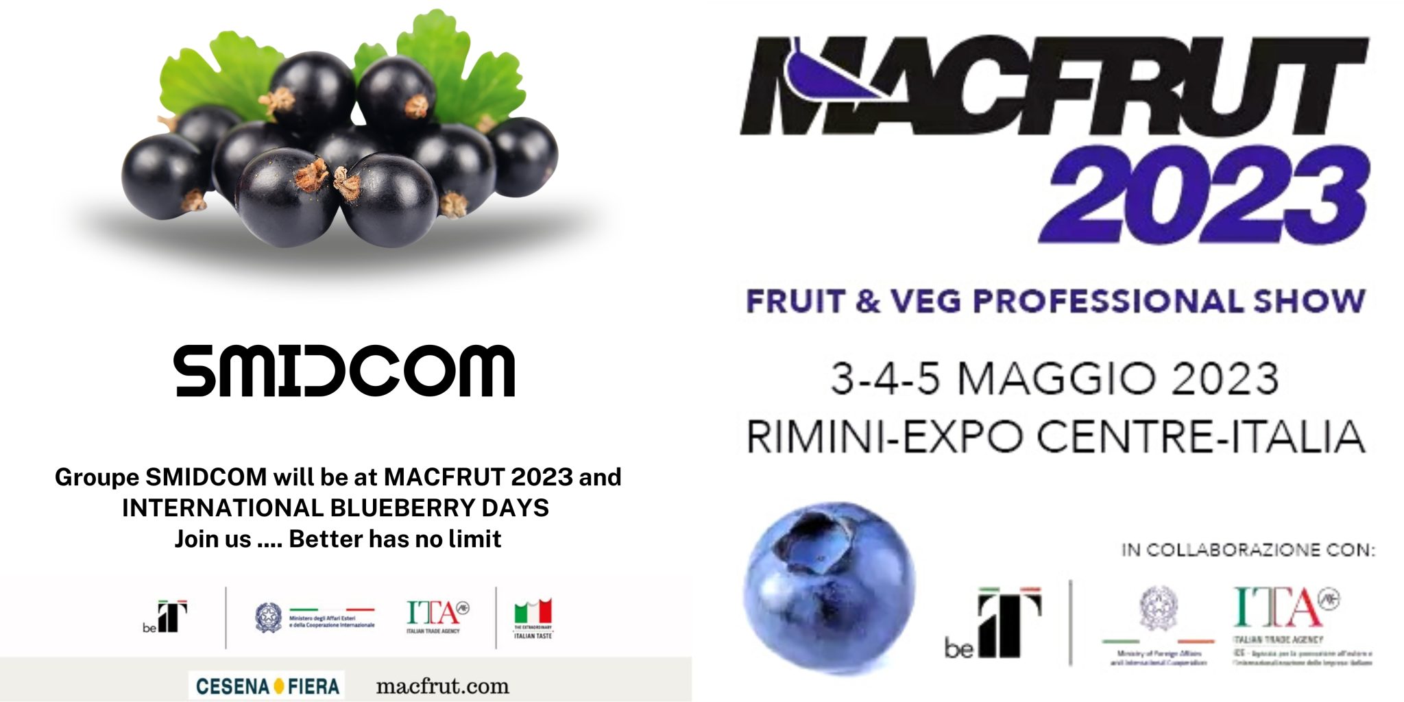 Groupe SMIDCOM vous donne rendez-vous au salon du MACFRUIT 2023 – Rimini – Expo Centre